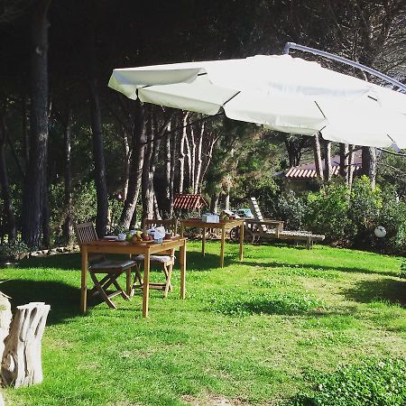 Mirto E Mare Bed & Breakfast Muravera Exterior photo