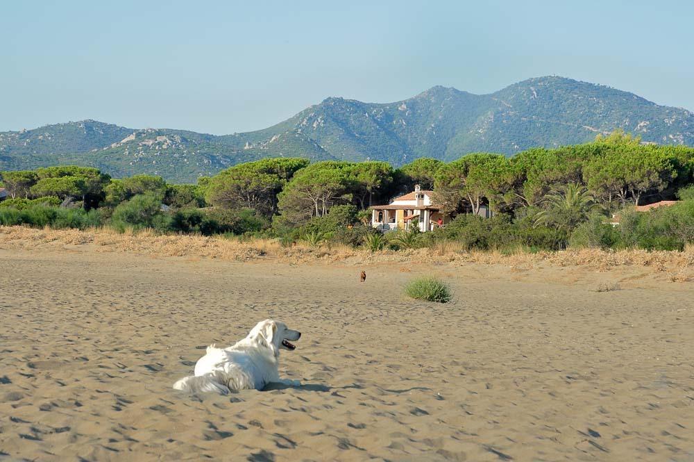 Mirto E Mare Bed & Breakfast Muravera Exterior photo