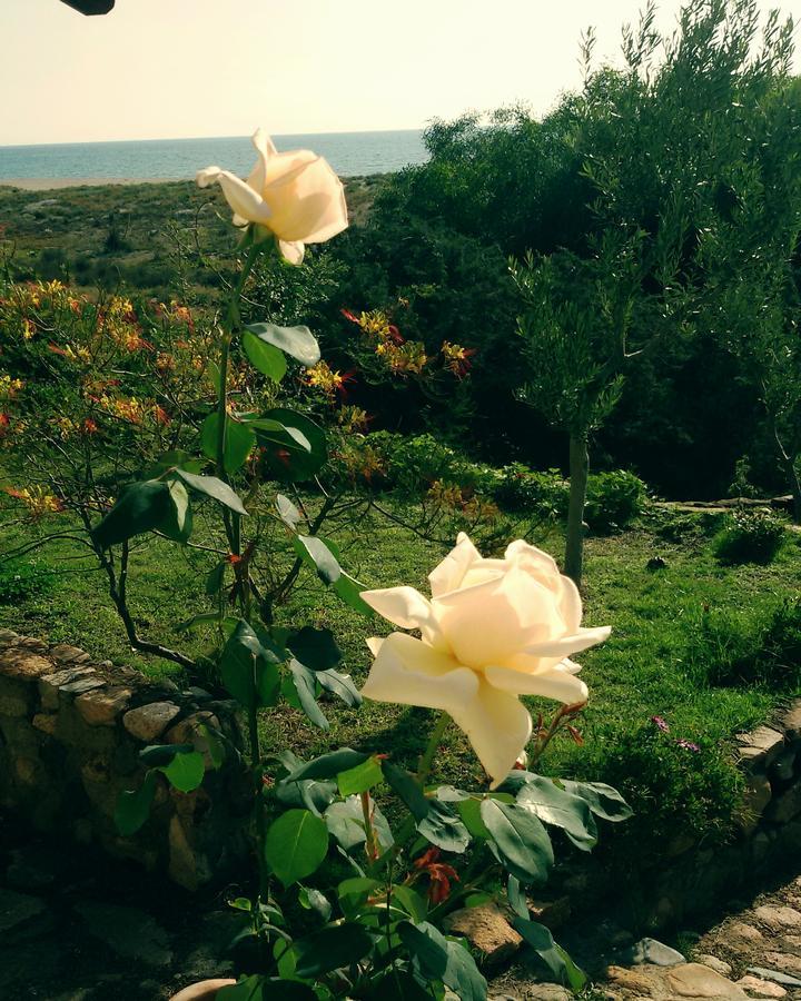 Mirto E Mare Bed & Breakfast Muravera Exterior photo